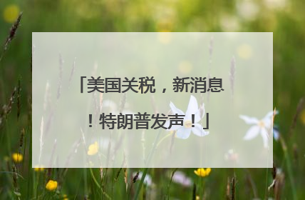 美国关税，新消息！特朗普发声！