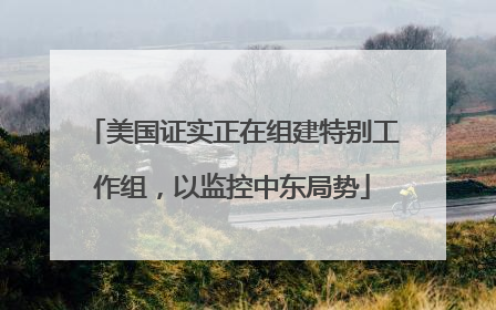 美国证实正在组建特别工作组，以监控中东局势