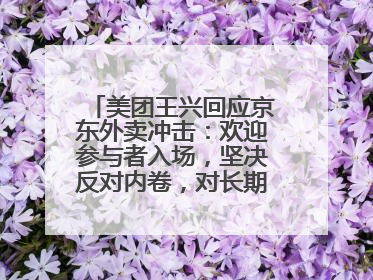 美团王兴回应京东外卖冲击：欢迎参与者入场，坚决反对内卷，对长期很有信心