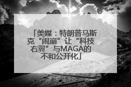 美媒：特朗普马斯克“闹崩”让“科技右翼”与MAGA的不和公开化