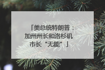 美总统特朗普：加州州长和洛杉矶市长“无能”