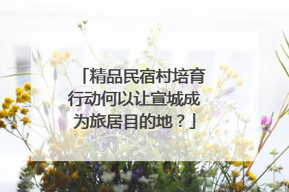 精品民宿村培育行动何以让宣城成为旅居目的地？
