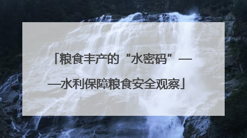 粮食丰产的“水密码”——水利保障粮食安全观察