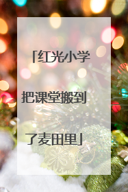 红光小学把课堂搬到了麦田里