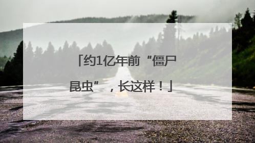 约1亿年前“僵尸昆虫”，长这样！