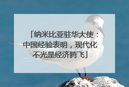 纳米比亚驻华大使：中国经验表明，现代化不光是经济腾飞