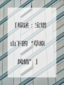 综述：宝塔山下的“草原风情”