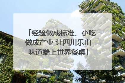 经验做成标准、小吃做成产业 让四川乐山味道端上世界餐桌