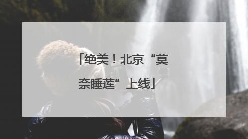 绝美！北京“莫奈睡莲”上线