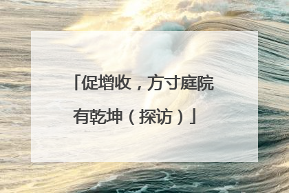 促增收，方寸庭院有乾坤（探访）