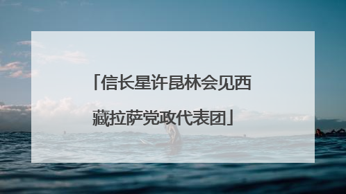 信长星许昆林会见西藏拉萨党政代表团