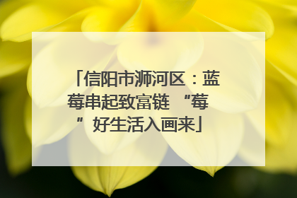 信阳市浉河区：蓝莓串起致富链 “莓”好生活入画来