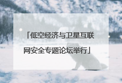 低空经济与卫星互联网安全专题论坛举行