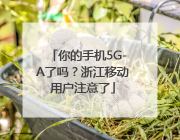 你的手机5G-A了吗？浙江移动用户注意了