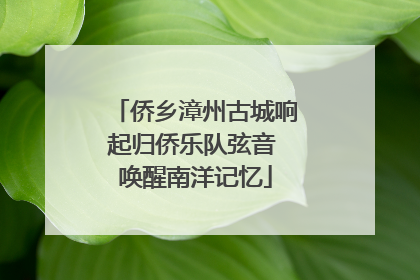侨乡漳州古城响起归侨乐队弦音 唤醒南洋记忆
