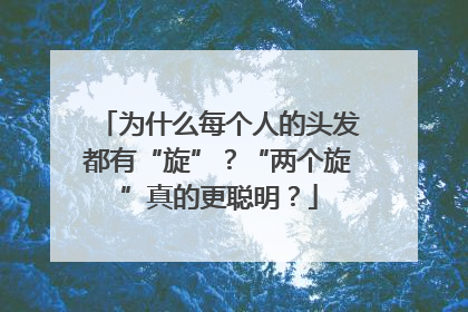 为什么每个人的头发都有“旋”？“两个旋”真的更聪明？