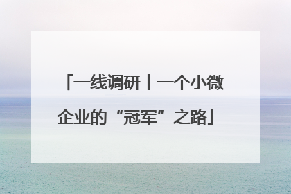 一线调研丨一个小微企业的“冠军”之路