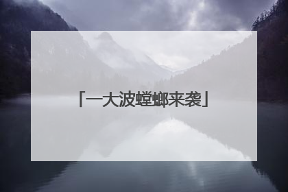 一大波螳螂来袭