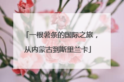 一根薯条的国际之旅，从内蒙古到斯里兰卡