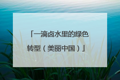 一滴卤水里的绿色转型（美丽中国）