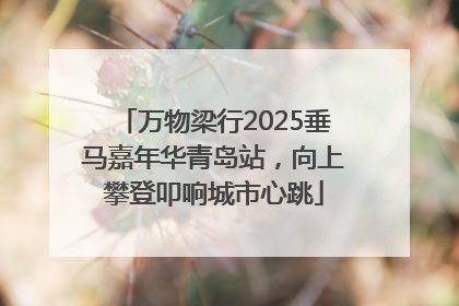 万物梁行2025垂马嘉年华青岛站，向上攀登叩响城市心跳