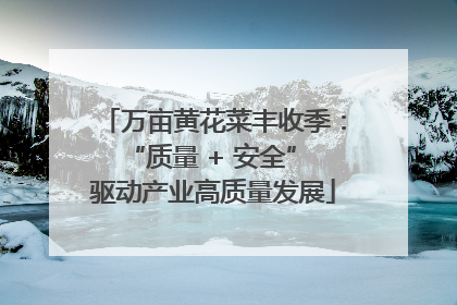 万亩黄花菜丰收季：“质量 + 安全” 驱动产业高质量发展
