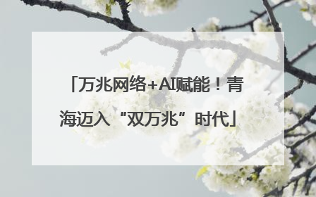 万兆网络+AI赋能！青海迈入“双万兆”时代