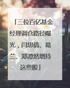 三位百亿基金经理调仓路径曝光，闫思倩、葛兰、郑澄然增持这些股