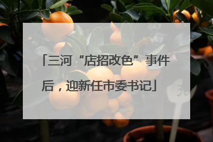 三河“店招改色”事件后，迎新任市委书记