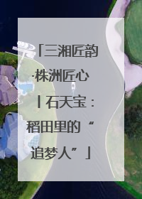 三湘匠韵·株洲匠心丨石天宝：稻田里的“追梦人”