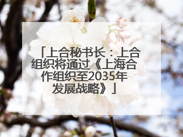 上合秘书长：上合组织将通过《上海合作组织至2035年发展战略》