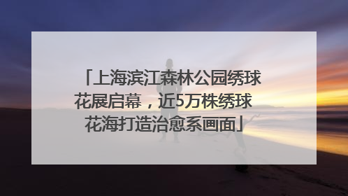 上海滨江森林公园绣球花展启幕，近5万株绣球花海打造治愈系画面