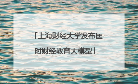 上海财经大学发布匡时财经教育大模型