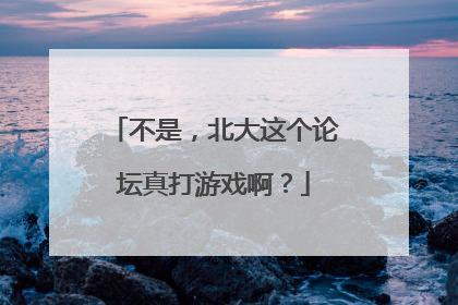 不是，北大这个论坛真打游戏啊？