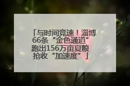 与时间竞速！淄博66条“金色通道”跑出156万亩夏粮抢收“加速度”