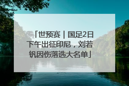 世预赛｜国足2日下午出征印尼，刘若钒因伤落选大名单