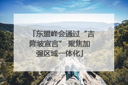 东盟峰会通过“吉隆坡宣言” 聚焦加强区域一体化