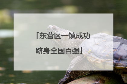 东营区一镇成功跻身全国百强
