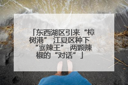 东西湖区引来“樟树港” 江夏区种下“襄辣王” 两颗辣椒的“对话”