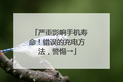 严重影响手机寿命！错误的充电方法，警惕→