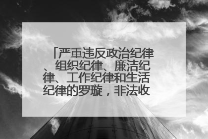严重违反政治纪律、组织纪律、廉洁纪律、工作纪律和生活纪律的罗璇，非法收受他人巨额财物