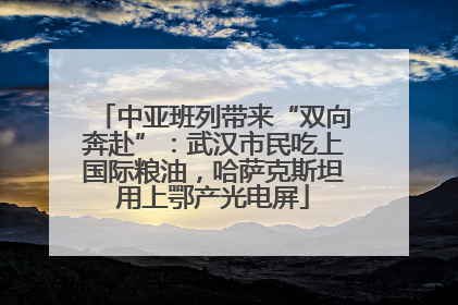 中亚班列带来“双向奔赴”：武汉市民吃上国际粮油，哈萨克斯坦用上鄂产光电屏