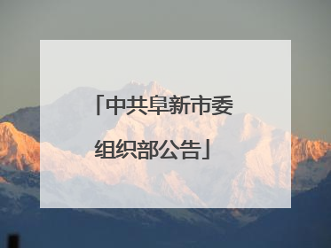 中共阜新市委组织部公告
