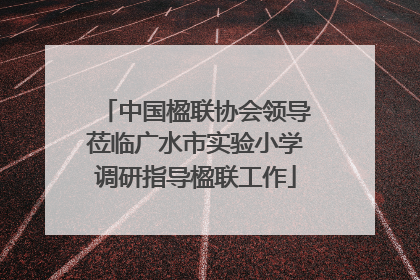 中国楹联协会领导莅临广水市实验小学调研指导楹联工作