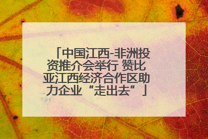 中国江西-非洲投资推介会举行 赞比亚江西经济合作区助力企业“走出去”