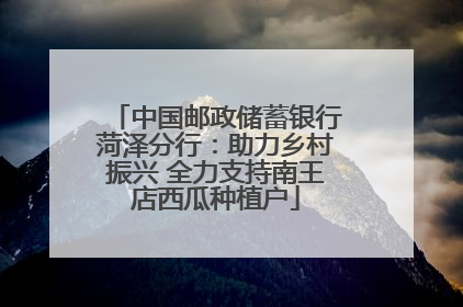中国邮政储蓄银行菏泽分行：助力乡村振兴 全力支持南王店西瓜种植户
