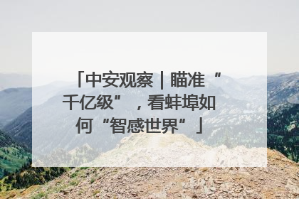 中安观察｜瞄准“千亿级”，看蚌埠如何“智感世界”