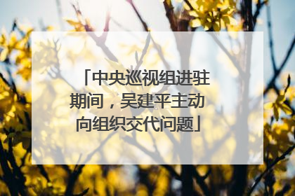 中央巡视组进驻期间，吴建平主动向组织交代问题