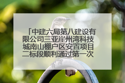 中建六局第八建设有限公司三亚崖州湾科技城南山棚户区安置项目二标段顺利通过第一次主体结构验收