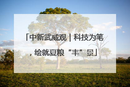 中新武威观｜科技为笔，绘就夏粮“丰”景